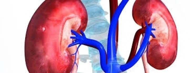 urologistas em são paulo